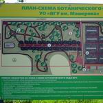 Botanical Garden | Parks and Public Gardens | Vitebsk - Attractions
