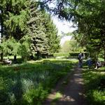 The Botanical Garden: an illusion of a world tour.