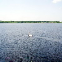 Озеро Сосна у поселка Должа – погружение в омут чувств.