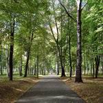 Soviet Army Park in Vitebsk