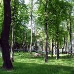 Park of the Heroes of 1812 Patriotic War | Parks and Public Gardens | Vitebsk - Attractions