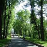 Putna Street | Squares, Streets, Bridges | Vitebsk - Attractions